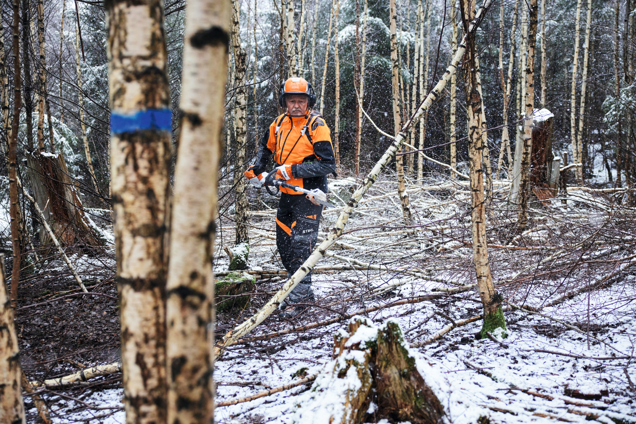En man med skyddsutrustning kapar en björk med en batteridriven stamkvistare STIHL HTA 150