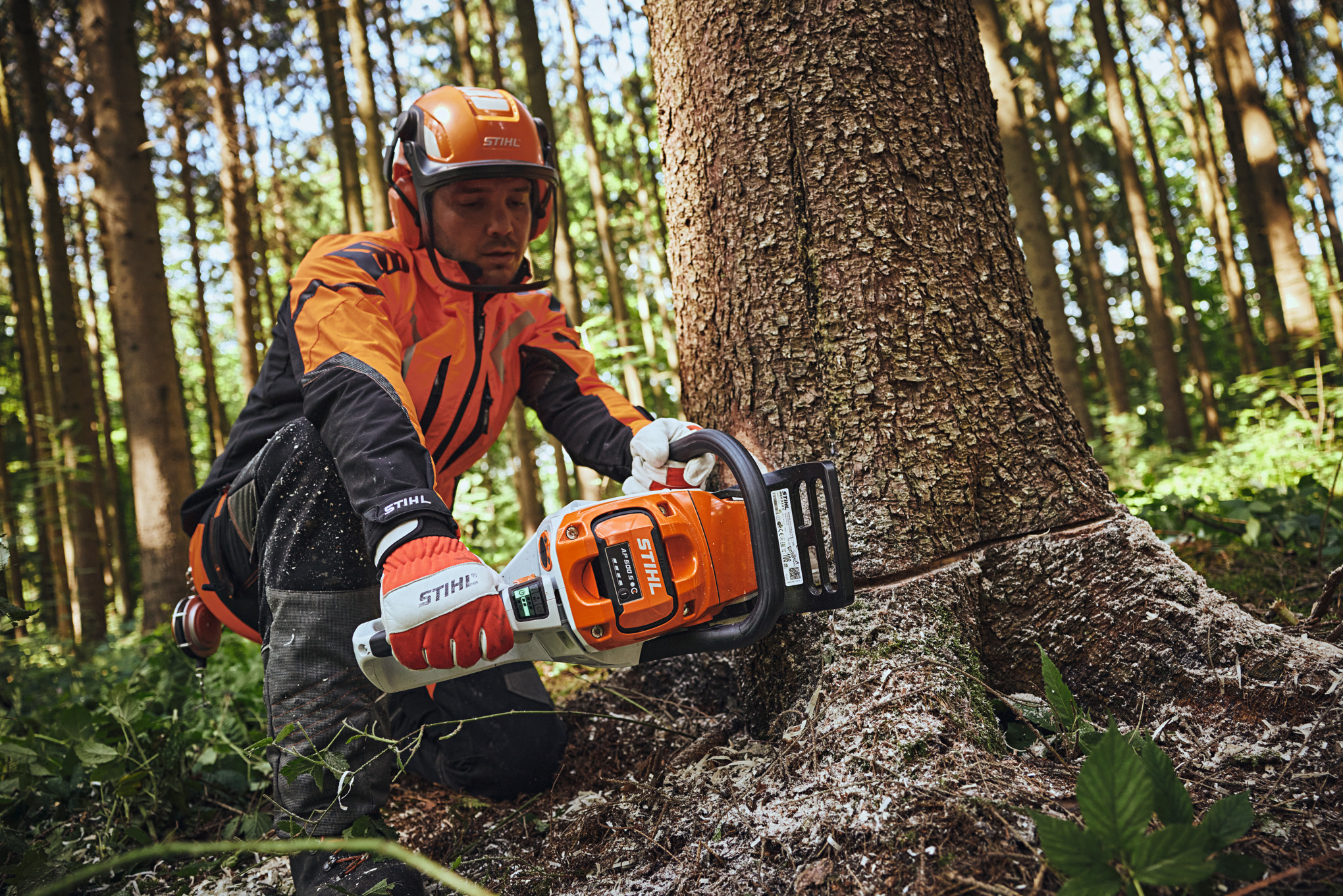 En man med STIHL skyddsutrustning sågar en trädstam