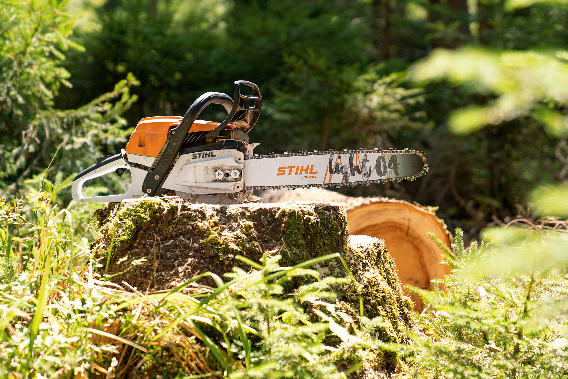 STIHL MS 261 C-M bensindriven motorsåg på en stubbe i skogen