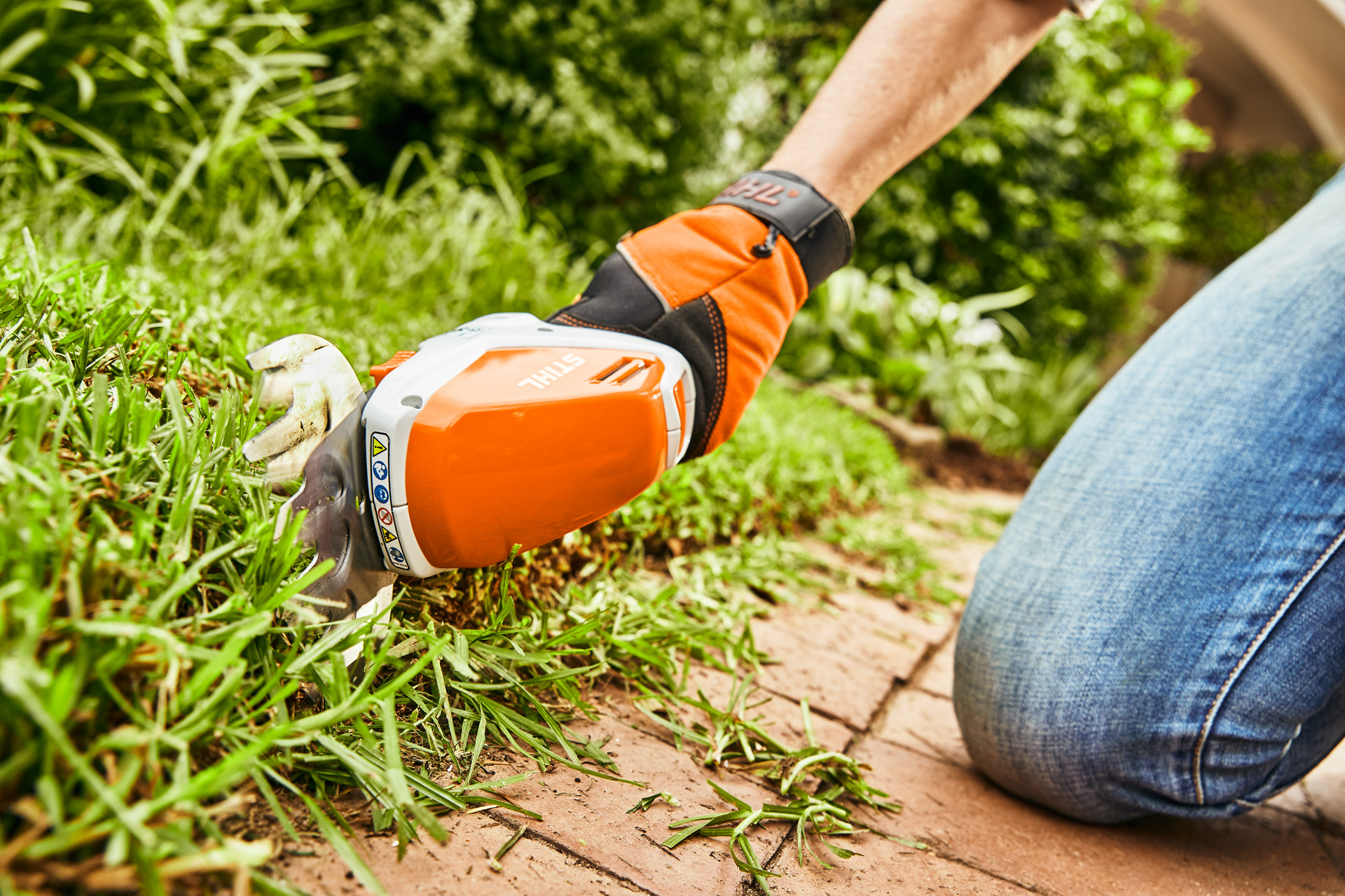 Klipp gräskanter med en riktig bästsäljare: STIHL batteridriven busksax HSA 26