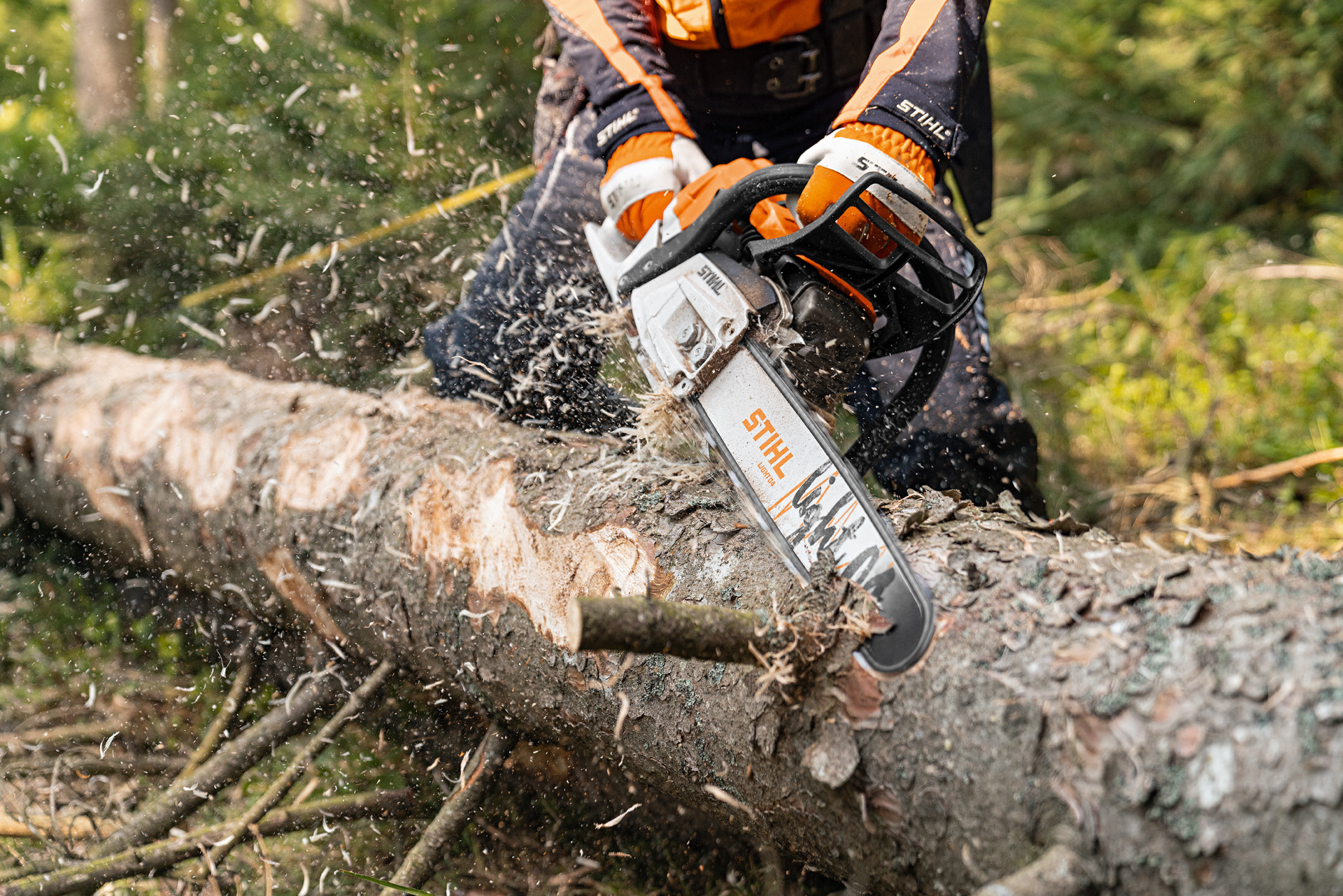 En trädstam barkas med STIHL bensinmotorsåg MS 261 C-M med 2-MIX-motor och svärdet Light 04 i skogen