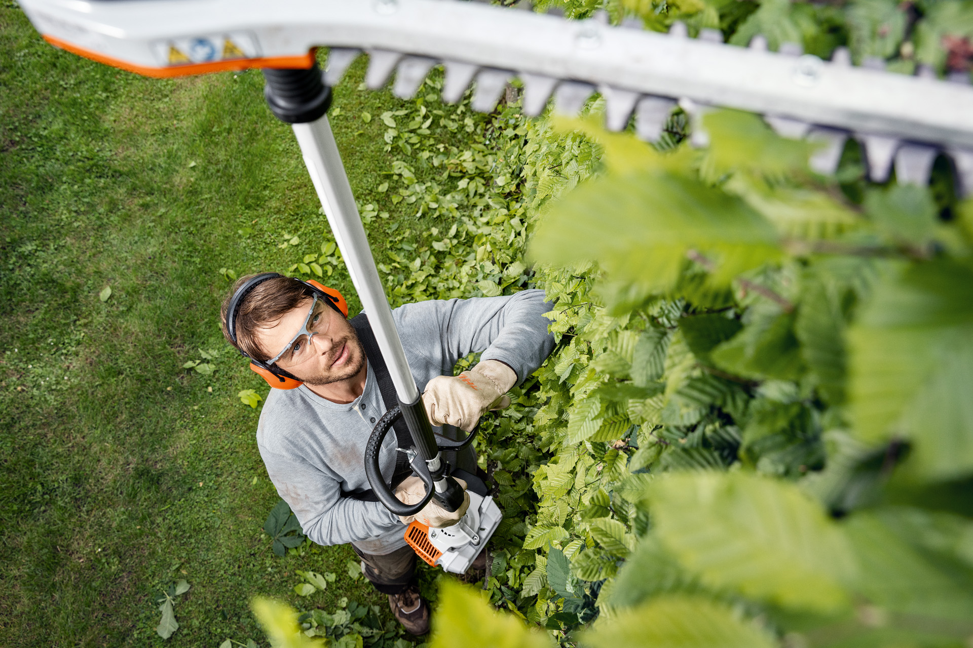 En man i skyddskläder klipper ovansidan av en hög häck med STIHL stånghäcksax HL 94