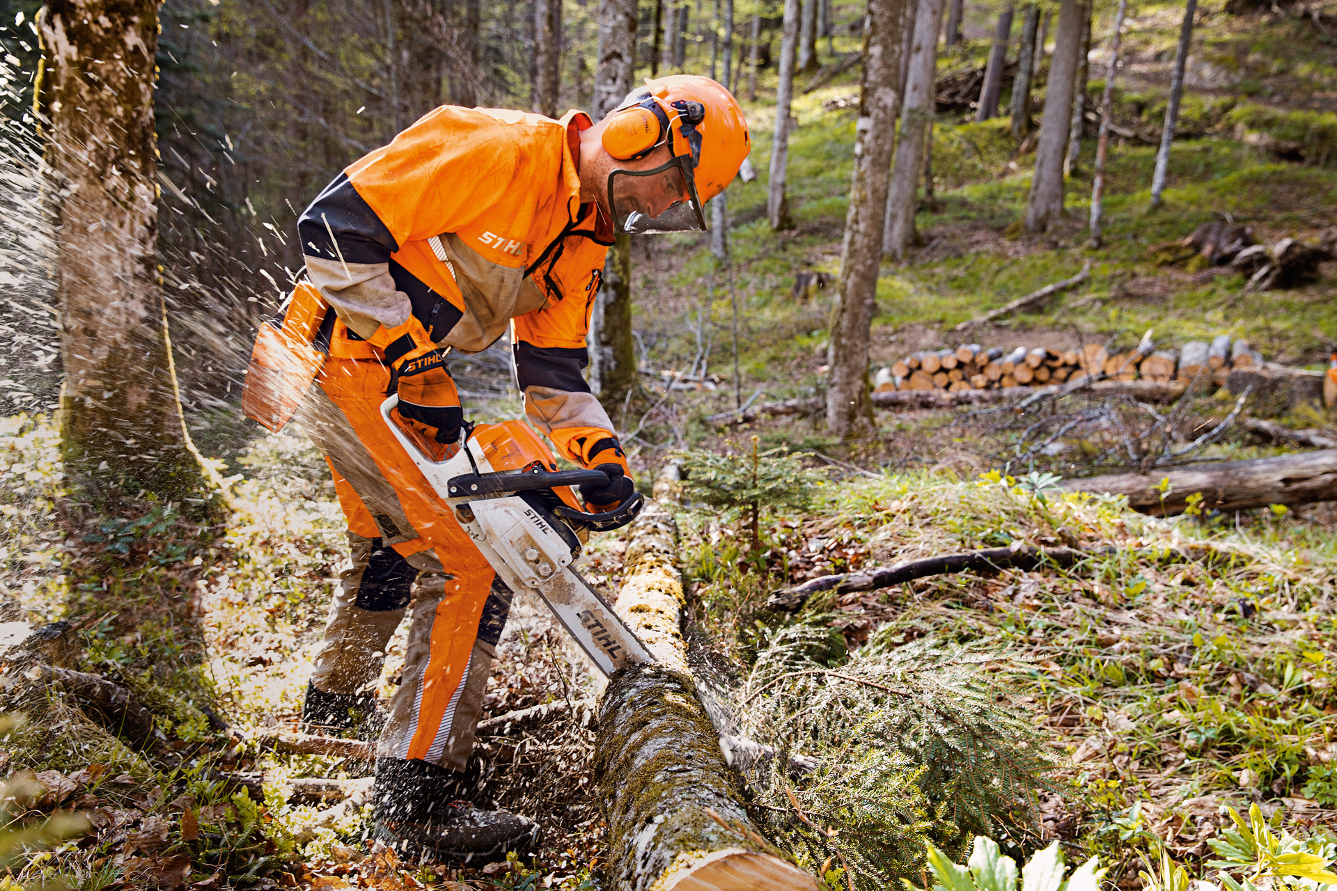 En skogsarbetare i STIHL skyddskläder sågar i skogen med en STIHL motorsåg