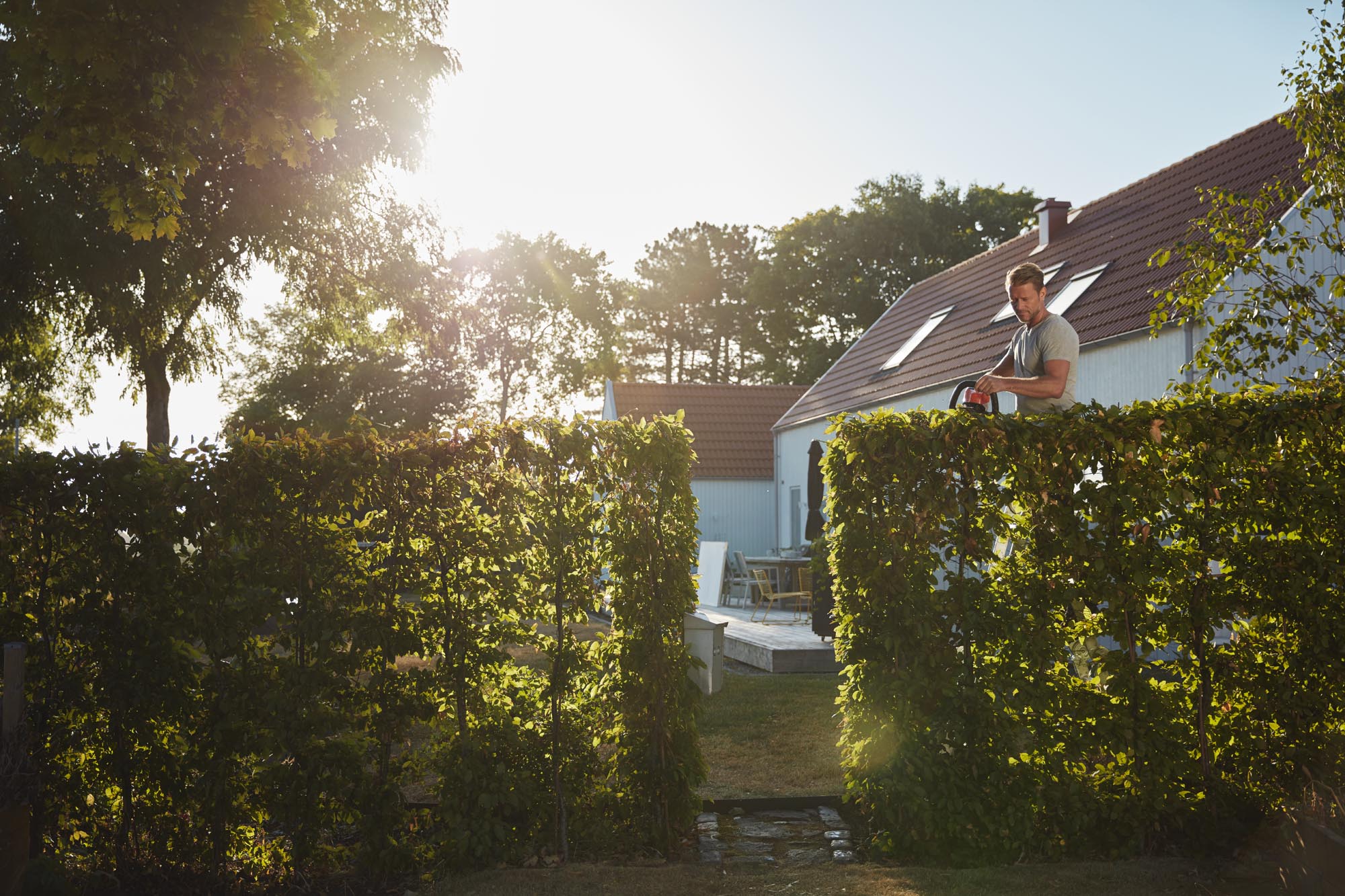 Grönskande villaträdgård