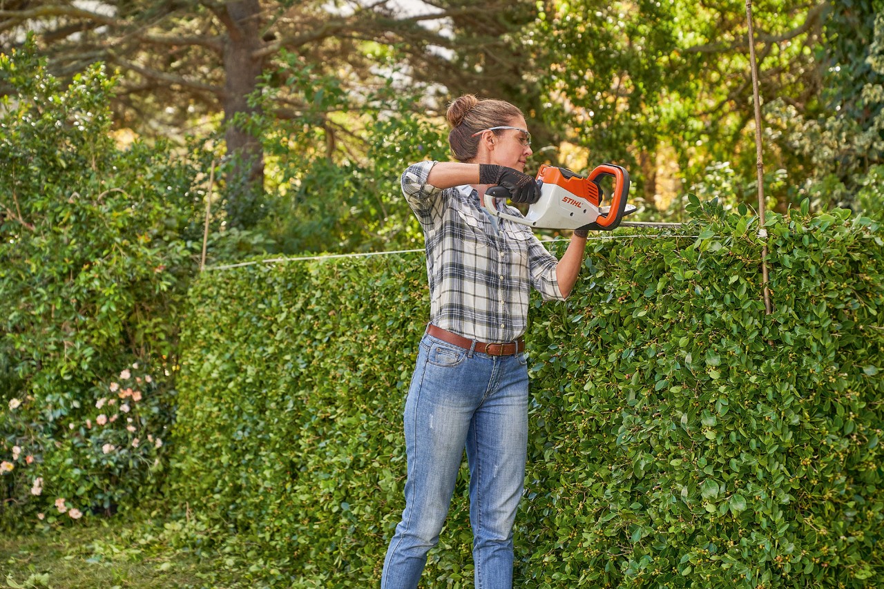 Maintain hedges, care, topiary, hedge pruning, HSA 56