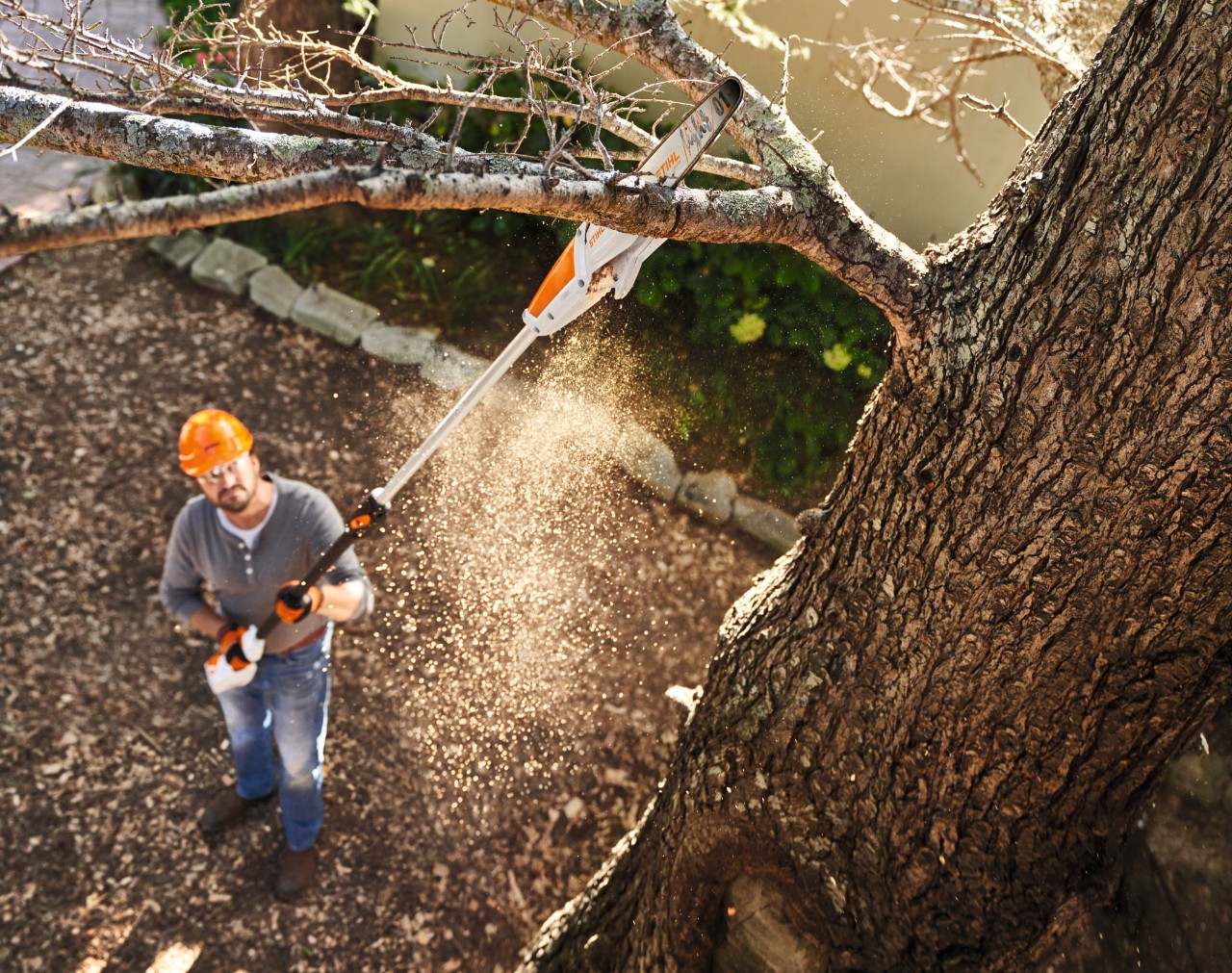 Vogelperspektive, wie ein Mann mit orangefarbenem Schutzhelm mit dem Akku-Hochentaster STIHL HTA 50 einen Baum entastet